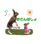 kinakoはRabbit②（個別スタンプ：22）