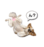 あずき＆めい（個別スタンプ：9）