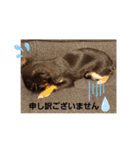 あずき＆めい（個別スタンプ：14）