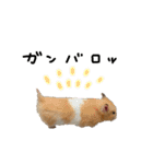 ちゃんたまご -究極-（個別スタンプ：9）