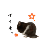 ちゃんたまご -究極-（個別スタンプ：18）