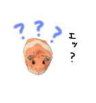 ちゃんたまご -究極-（個別スタンプ：37）