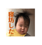 ちゃちゃっちゃ2（個別スタンプ：5）