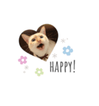 笹かま猫のひなた（個別スタンプ：5）