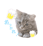 ichannnn（個別スタンプ：1）
