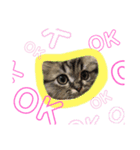 ichannnn（個別スタンプ：2）