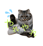 ichannnn（個別スタンプ：4）