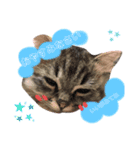ichannnn（個別スタンプ：5）