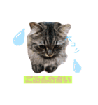 ichannnn（個別スタンプ：6）