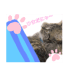 ichannnn（個別スタンプ：12）