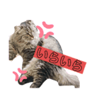 ichannnn（個別スタンプ：13）