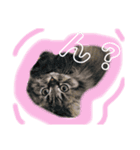 ichannnn（個別スタンプ：14）