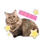 ichannnn（個別スタンプ：15）