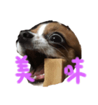 ハナだよ（個別スタンプ：7）