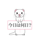 31日 日めくりカレンダー フェレットベビー（個別スタンプ：1）
