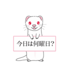 31日 日めくりカレンダー フェレットベビー（個別スタンプ：40）