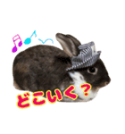 ロコモコの日常（個別スタンプ：5）