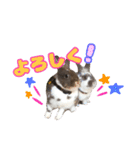 ロコモコの日常（個別スタンプ：6）