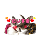ロコモコの日常（個別スタンプ：7）