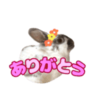 ロコモコの日常（個別スタンプ：8）