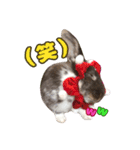 ロコモコの日常（個別スタンプ：9）