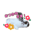 ロコモコの日常（個別スタンプ：14）