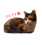 ねこの敬語（個別スタンプ：8）