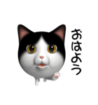 玉ネコ（個別スタンプ：1）