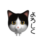 玉ネコ（個別スタンプ：5）