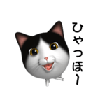 玉ネコ（個別スタンプ：11）