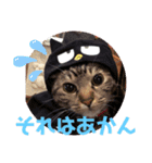 紅さんの日々是好日  2（個別スタンプ：3）
