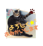 紅さんの日々是好日  2（個別スタンプ：6）