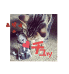 紅さんの日々是好日  2（個別スタンプ：9）