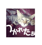 紅さんの日々是好日  2（個別スタンプ：10）