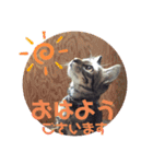紅さんの日々是好日  2（個別スタンプ：23）