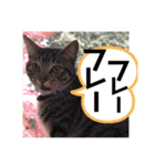 紅さんの日々是好日  2（個別スタンプ：24）