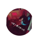 我が家のごまち①（個別スタンプ：1）
