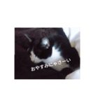 我が家のごまち②（個別スタンプ：4）