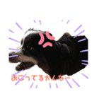 poncoro（個別スタンプ：6）