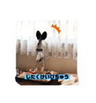 poncoro（個別スタンプ：8）