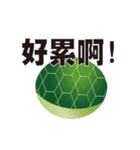 亀はいたずらパート5が大好き（個別スタンプ：19）