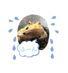 おでぶくんすたんぷ（個別スタンプ：6）