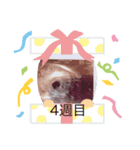 masaminao（個別スタンプ：6）