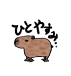 とにかく動物が好きな人のスタンプ（個別スタンプ：22）