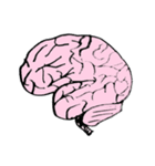 so cute brain ！！（個別スタンプ：1）