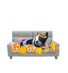 パピー♡NEVILLEの世界（個別スタンプ：1）
