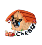 パピー♡NEVILLEの世界（個別スタンプ：2）