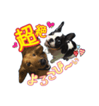 パピー♡NEVILLEの世界（個別スタンプ：3）