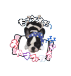 パピー♡NEVILLEの世界（個別スタンプ：6）