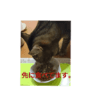 みーたんファミリー  5（個別スタンプ：5）